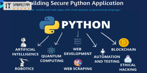 Python бағдарламалау тілі: жайлылық пен қуаттылықтың үйлесімі